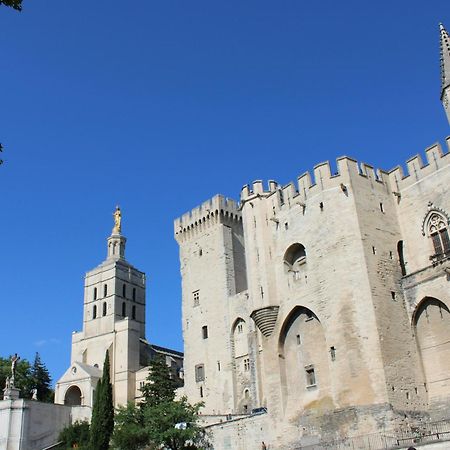 Le Petit Avignon - Chambres & Appartement A Deux Pas Du Pont D'Avignon Et Du Palais Des Papes Экстерьер фото