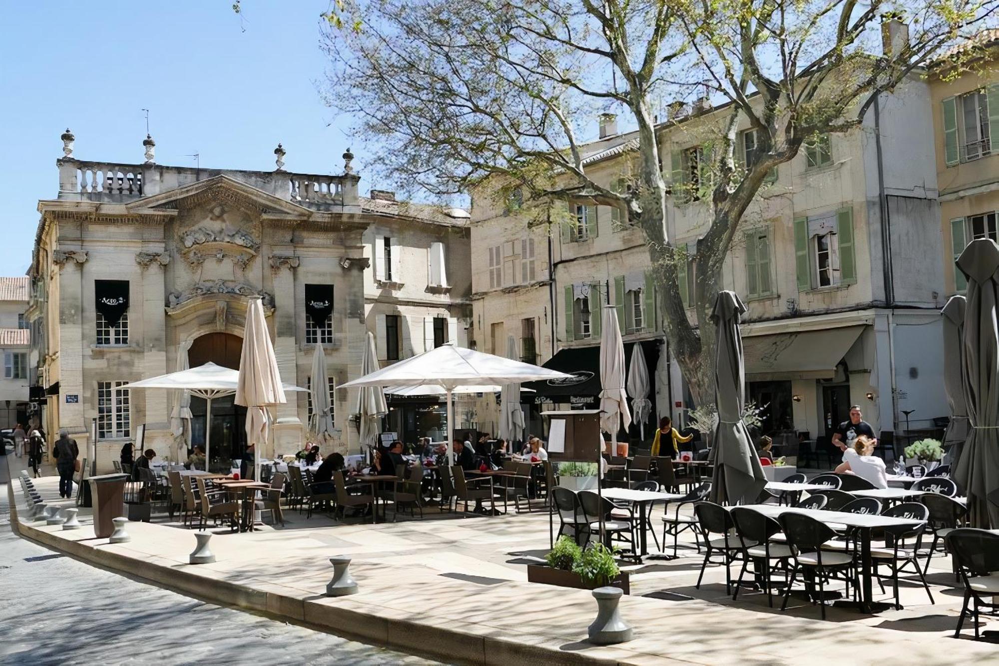 Le Petit Avignon - Chambres & Appartement A Deux Pas Du Pont D'Avignon Et Du Palais Des Papes Экстерьер фото