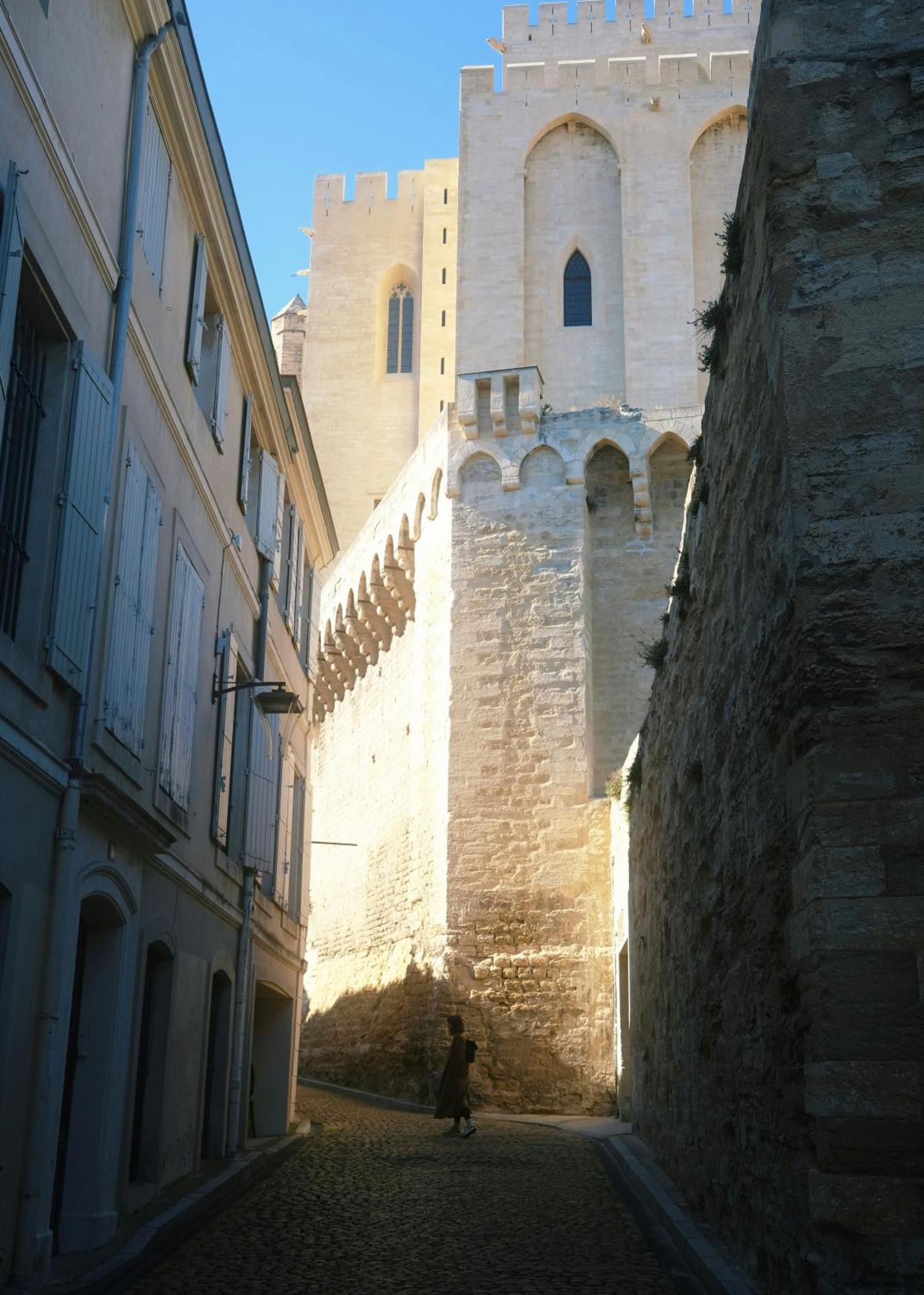 Le Petit Avignon - Chambres & Appartement A Deux Pas Du Pont D'Avignon Et Du Palais Des Papes Экстерьер фото