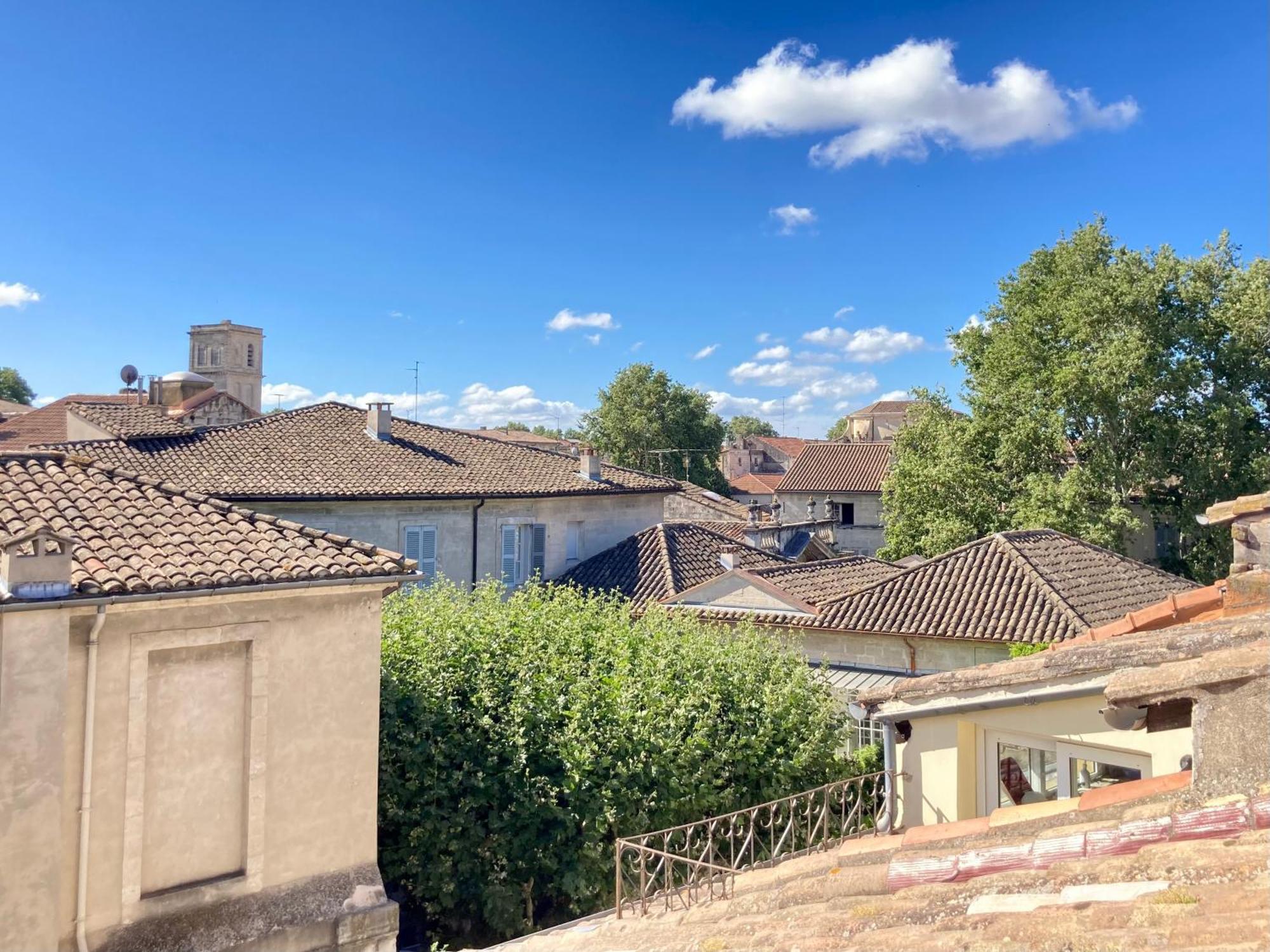 Le Petit Avignon - Chambres & Appartement A Deux Pas Du Pont D'Avignon Et Du Palais Des Papes Экстерьер фото